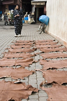 Souks Prints: Dyed leather hides drying in street in the souk, Medina, Marrakech (Marrakesh)