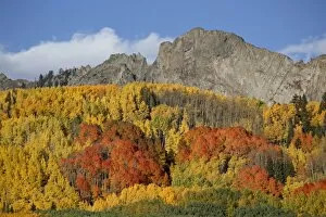 The Dyke with fall colors, Grand Mesa-Uncompahgre-Gunnison National Forest