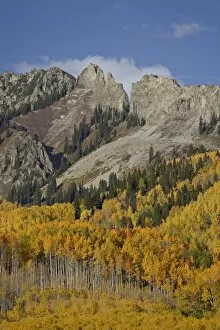 The Dyke with the fall colours, Grand Mesa-Uncompahgre-Gunnison National Forest
