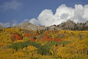 The Dyke with the fall colours, Grand Mesa-Uncompahgre-Gunnison National Forest