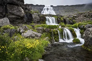 Icelandic Culture Prints: Dynjandi Waterfall, Westfjords, Iceland, Polar Regions