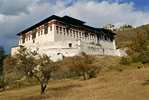 Dzong Prints: The Dzong (monastery) at Paru in Bhutan, Asia