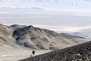 Images Dated 19th February 2009: An eagle hunter out on a morning hunt in the Altai Mountains, Bayan Olgii, Mongolia, Asia