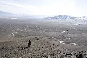 An eagle hunter out on a morning hunt in the Altai Mountains, Bayan Olgii, Mongolia, Asia