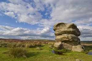 Images Dated 17th August 2008: The Eagle stone on heather moorland, Baslow Edge near Curbar, Peak District National Park