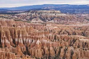 Images Dated 21st November 2007: Early morning, Bryce Canyon National Park, Utah, United States of America, North America
