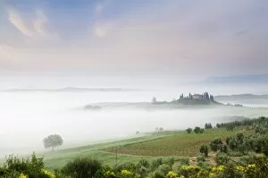 Early morning fog at the farmhouse Belvedere, Orcia Valley (Val d Orcia), UNESCO World Heritage Site, Siena region