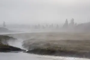 Madison River Prints: Early morning fog along the Madison River in Yellowstone National Park
