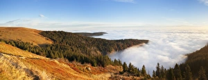 Feldberg Mountain Prints: Early morning fog at sunrise in autumn