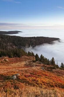 Images Dated 10th October 2010: Early morning fog at sunrise in autumn, Feldberg mountain, Black Forest, Baden Wurttemberg