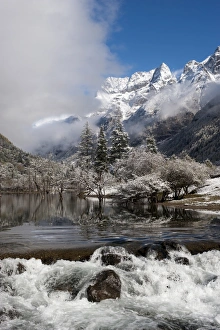Images Dated 21st October 2009: Early in morning frost in Mount Siguniang, an area of outstanding natural beauty