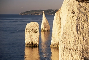 Pinnacle Prints: Early morning light on the Pinnacles, Handfast Point, Studland, Dorset