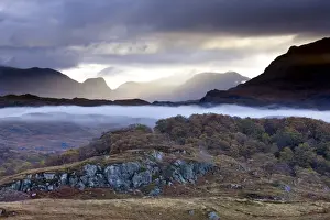 Wood Land Prints: Early morning mist hanging over woodland and moorland near Loch Maree, Poolewe