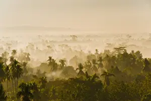 9th Century Prints: Early morning mist on the Kedu Plain at sunrise from the Borobudur Temple