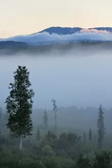 Images Dated 6th August 2011: Early morning mist in Wells Grey Provincial Park, British Columbia, Canada, North America