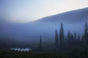 Images Dated 6th August 2011: Early morning mist in Wells Grey Provincial Park, British Columbia, Canada, North America