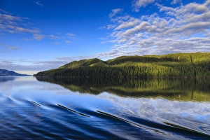 National Forest Prints: Early morning reflections in summer, Behm Canal, Misty Fjords National Monument