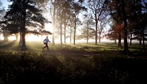 Fitness Prints: Early morning runner, Richmond Park, London, England, United Kingdom, Europe