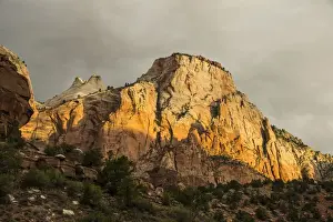 Early Morning Prints: Early morning sunlight shining on the towering cliffs of the Zion National Park