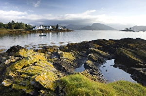 Images Dated 12th September 2009: Early morning view of Plokton with houses and foreshore bathed in sunlight