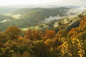 Palatinate Forest Prints: Early morning view from Wegelnburg castle of the Palatinate Forest