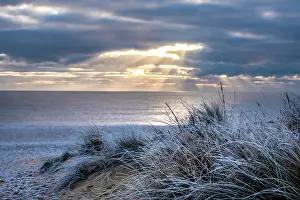 Dunes Prints: Early morning winter light on frosty sand dunes in Southwold in the county of Suffolk