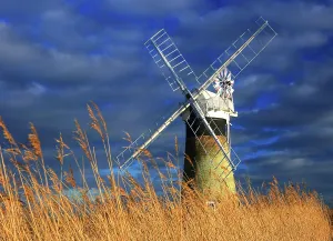 Warmth Prints: Early spring morning, St. Benet's Mill, Norfolk Broads, Norfolk