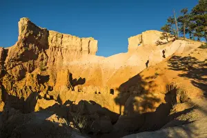 Pinnacle Prints: Early sunrays shining on the pinnacles of the Bryce Canyon National Park