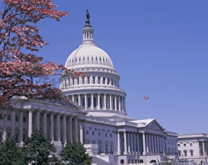 Democracy Prints: The east side of the Capitol, Washington D