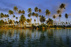 Polynesia Prints: East coast