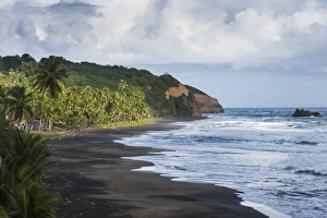 Dominica Prints: East coast of Dominica, West Indies, Caribbean, Central America