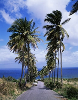 Barbados Prints: East coast near Bathsheba, Barbados, West Indies, Caribbean, Central America