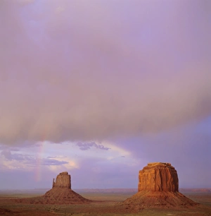 Mother Nature Prints: East Mitten and Merrick Buttes