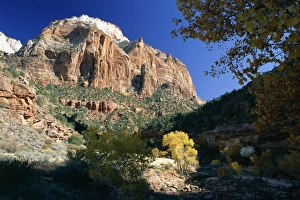 Zion Prints: The East Temple from Pine Creek in autumn