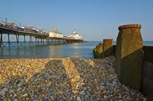Pebble Beach Prints: Eastbourne Pier, beach and groynes, Eastbourne, East Sussex, England, United Kingdom
