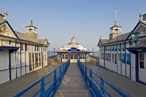 Images Dated 20th May 2010: Eastbourne Pier, beach and groynes, Eastbourne, East Sussex, England, United Kingdom