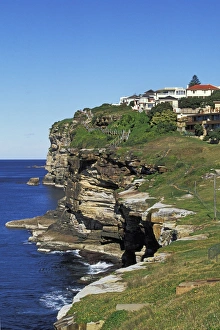 Images Dated 12th February 2009: The Eastern Reserve section of the Dover Heights to Vaucluse Cliff Walk