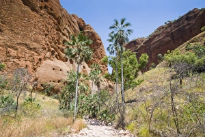 Images Dated 4th October 2008: Echidna Chasm Walk, Purnululu National Park, UNESCO World Heritage Site, Bungle Bungle Range