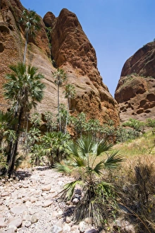 Images Dated 4th October 2008: Echidna Chasm Walk, Purnululu National Park, UNESCO World Heritage Site, Bungle Bungle Range