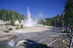 Erupt Prints: Echinus Geyser