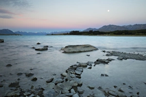 Canterbury Prints: Edge of lake at dusk, Lake Tekapo, Canterbury region, South Island, New Zealand, Pacific