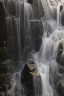 Images Dated 11th August 2008: Edith Falls, Mount Rainier National Park, Washington, United States of America