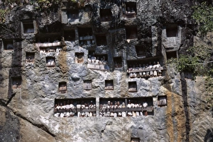 Toraja Prints: Effigies of the dead looking out from Lemo cliff tombs