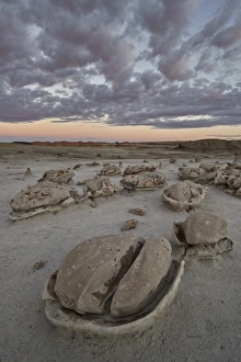 Egg Factory at dawn, Bisti Wilderness, New Mexico, United States of America, North