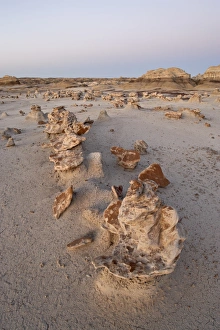 Egg Factory Prints: The Egg Factory at dusk, Bisti Wilderness, New Mexico, United States of America