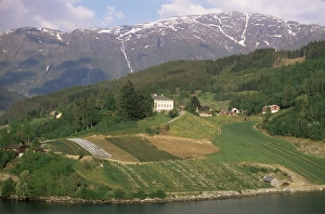 Eidfjord Prints: Eidfjord, Norway