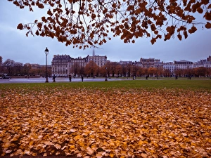 Autumnal Prints: Eiffel Tower and autumn park scene, Paris, France, Europe