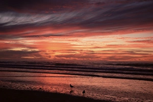 Ocean Water Prints: Eighty Mile Beach, Western Australia, Australia, Pacific