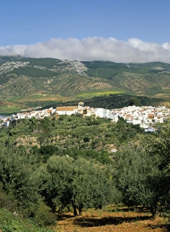El Burgo village and olive groves surrounded by cloud-topped El Burgo village and olive groves surrounded by cloud-topped