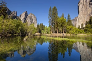 National Landmarks Prints: El Capitan, a 3000 feet granite monolith on the right, Cathedral Rocks